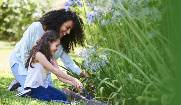 spring maintenance checklist