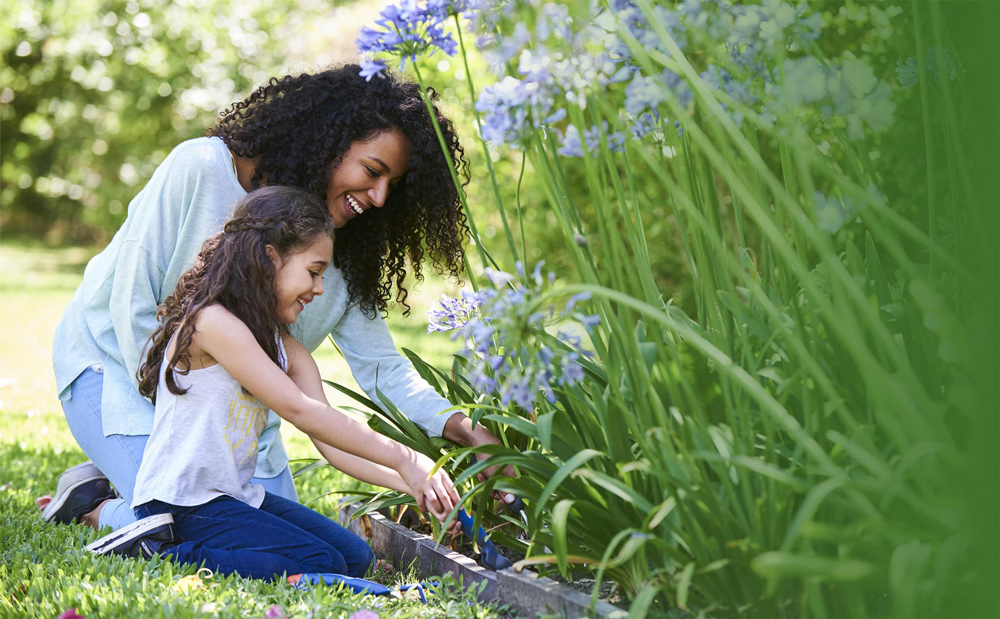 spring maintenance checklist